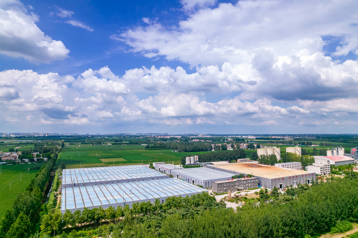 1692171121746257.jpg DJI_0034.jpg